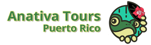 Guided Tours in Puerto Rico