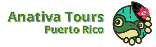 El Yunque Rainforest Tours in Puerto Rico