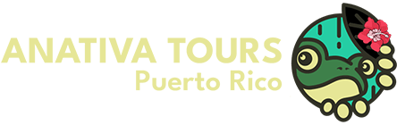Guided Tours in Puerto Rico