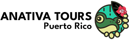 Anativa Tours Puerto Rico