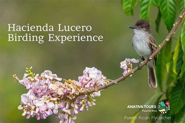 Hacienda Lucero Experience Tour