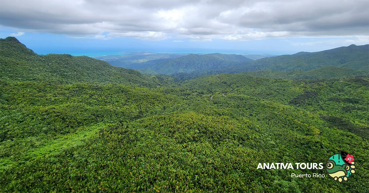 Anativa  - Private exclusive tours in Puerto Rico