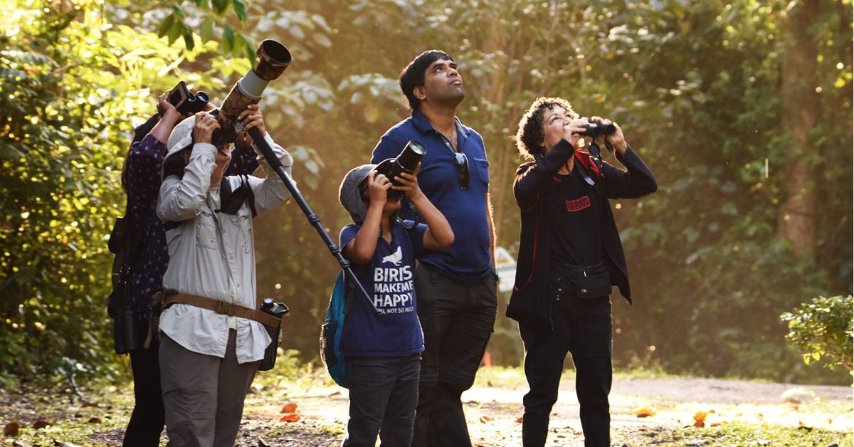 Nature/Birdwatching Tours in Puerto Rico