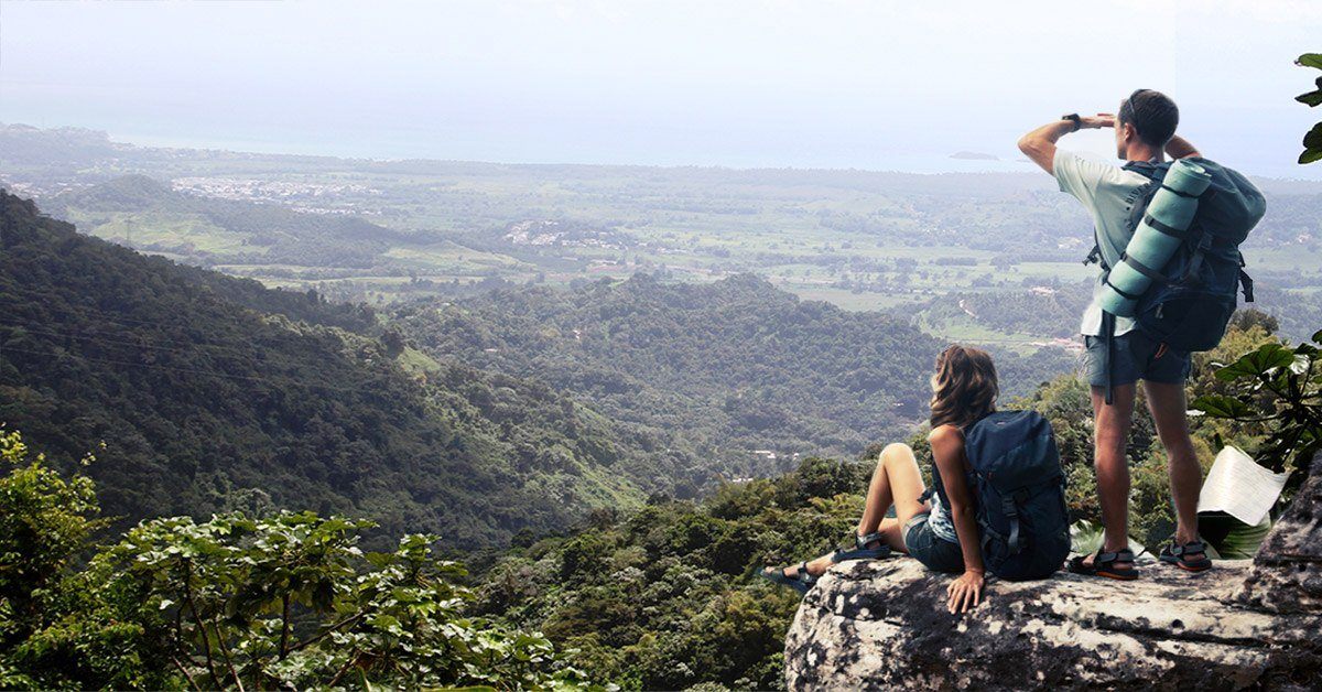 Rainforest Tours in Puerto Rico