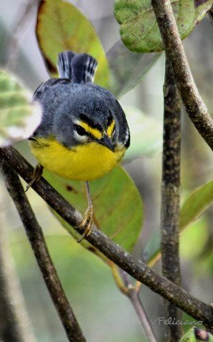 Birdwatching tours is a great way to enjoy mother nature's creatures