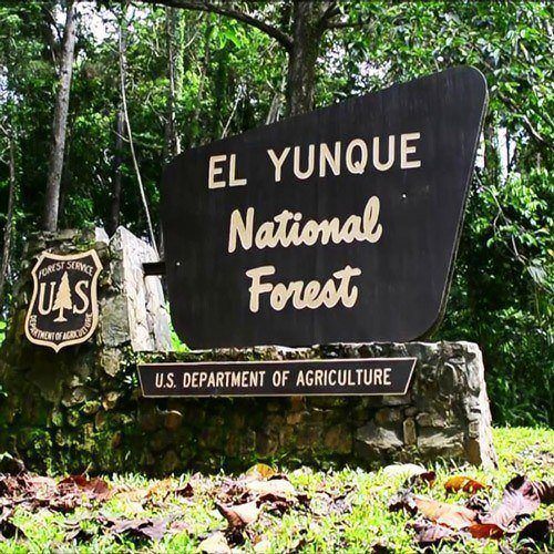 Main entrance to el yunque rainforest
