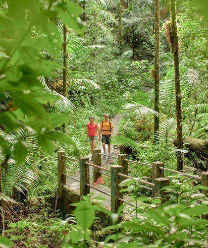 Miles of walking trails with plenty of views, wildlife and flora