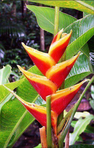 The walking trails are full of botanical wonders